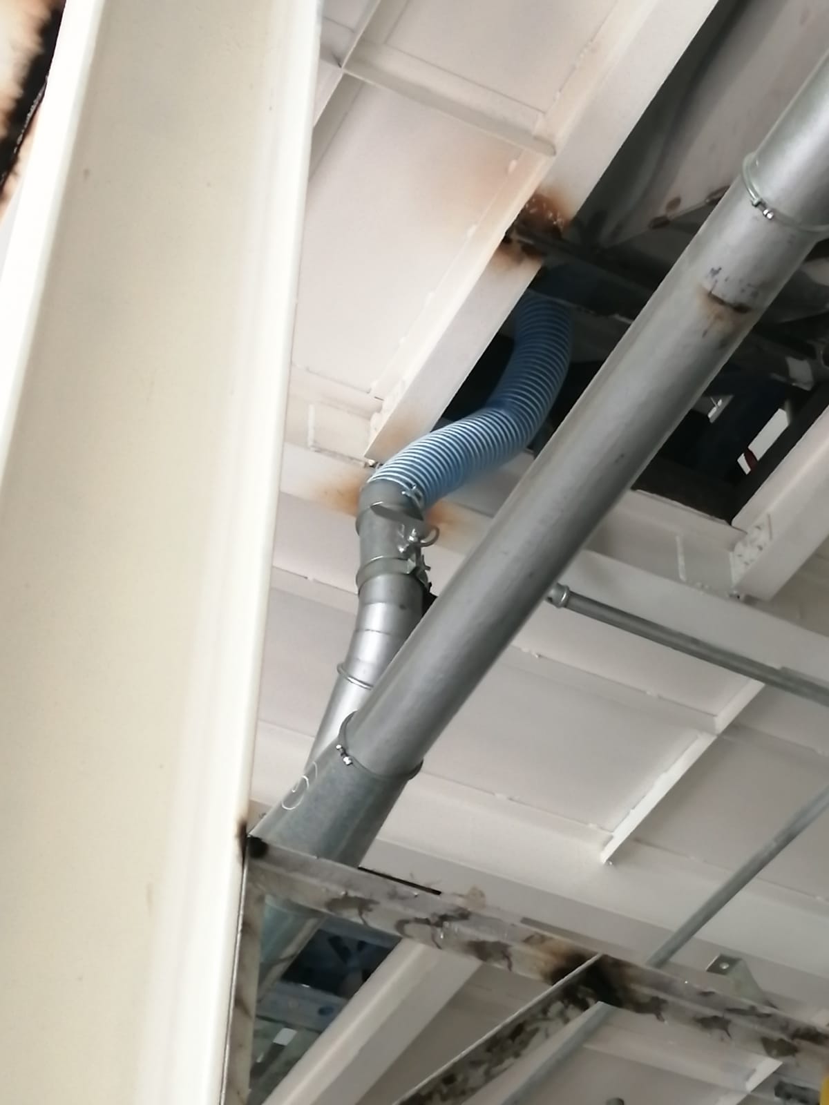 WhatsApp Image 2022-08-03 at 1.54.26 PM